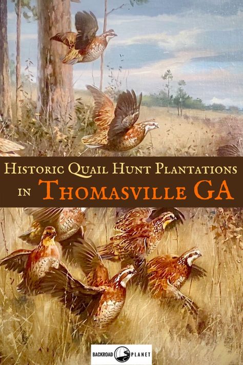 Explore a country estate, tour a Neoclassical mansion, and plan special events at two historic quail hunt plantations in Thomasville, Georgia, USA. #travel #TBIN #ExploreGeorgia #thomasvillega via @backroadplanet Antique Places, Neoclassical Mansion, Thomasville Georgia, Presque Isle State Park, Thomasville Ga, Southern Usa, Quail Hunting, Arizona Road Trip, Places In New York