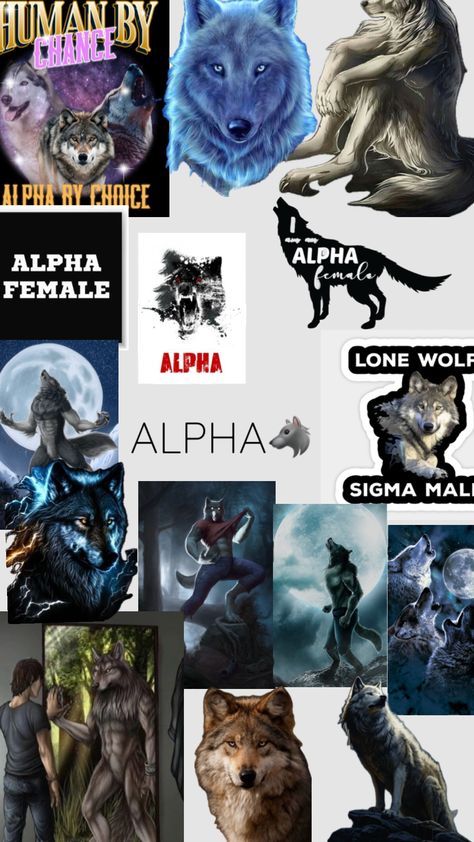 pov your the alpha #alpha #wolf #alphawolf #slay #nevergiveup #vibes #wallpaper #sigma #rizzler #mewingstreak #mewing #right #now #lol #poop #fullmoon Wallpaper Sigma, Alpha Alpha, Alpha Wolf, Vibes Wallpaper, The Alpha, Full Moon, Right Now