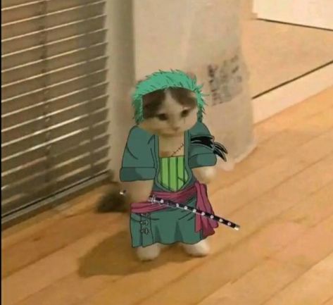 Anime Cat Pfp, Cat Pfp, Whatsapp Web, Anime Cat, Profile Pic, Roronoa Zoro, Hello Friend, Feline, Computer