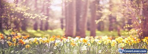 Fbcoverlover : Spring Daffodils - Facebook Cover - FREE Download seasonal Facebook covers photo Springtime Photography, Spring Poem, Spring Images, Spring Pictures, Image Nature, Spring Photography, Fb Covers, Jolie Photo, Facebook Cover Photos