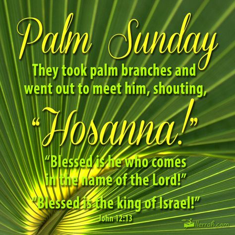 Palm Sunday - They took palm branches and went out to meet him, shouting "Hosanna!. Blessed is he who comes in the name of the Lord! Blessed is the king if Israel!" John 12:13. #PalmSunday #Easter Happy Palm Sunday Images, Palm Sunday Quotes Jesus, Palm Sunday Wishes, Palm Sunday Images, Psalm Sunday, Palm Sunday Quotes, Sunday Bible Verse, Happy Palm Sunday, Hosanna In The Highest