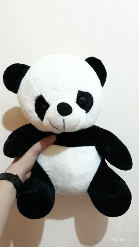 My Panda bear. Download to be wallpaper on your phone. Panda Toys Teddy Bears, Panda Soft Toy, Panda Plushie, Panda Teddy, Panda Teddy Bear, Panda Stuffed Animal, Panda Doll, Panda Plush, Toy Keys