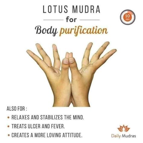 Foto - Google Foto's Chakra Recipes, Meditation Mudras, Lotus Mudra, Body Purification, Healing Reflexology, Yoga Mudras, Hand Mudras, Chakra Health, Yoga Facts