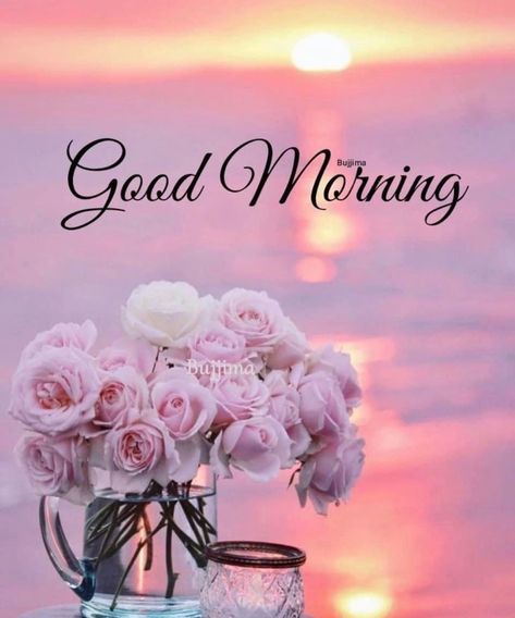 Good Morning Tuesday Pink, Wobbler Design, Cute Good Morning Gif, Christmas Greetings Quotes, Good Morning Sunday Images, Good Morning Clips, Good Morning Massage, Good Morning Tuesday, Good Morning Greeting Cards