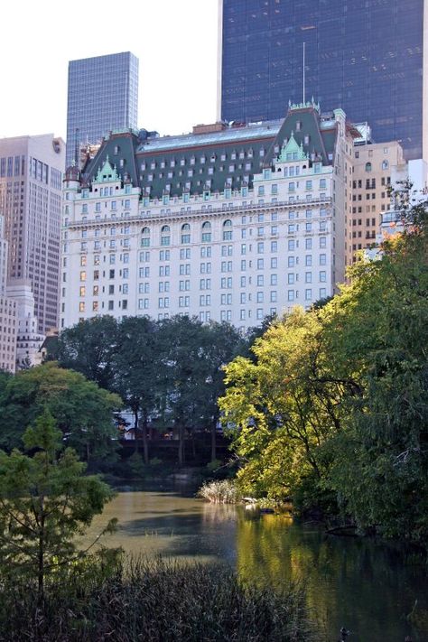 The Plaza New York, The Plaza Hotel, Plaza Hotel New York, The Plaza Hotel Nyc, London Vacation, Nyc Hotels, I Love Nyc, المملكة العربية السعودية, Go To New York