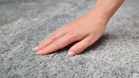 How To Refluff Matted Carpet, How To Fluff Carpet Back Up, Hair Blow Dryer, Disinfectant Spray, Types Of Carpet, Carpet Cleaner, Furniture Layout, House Cleaning, Back To Life