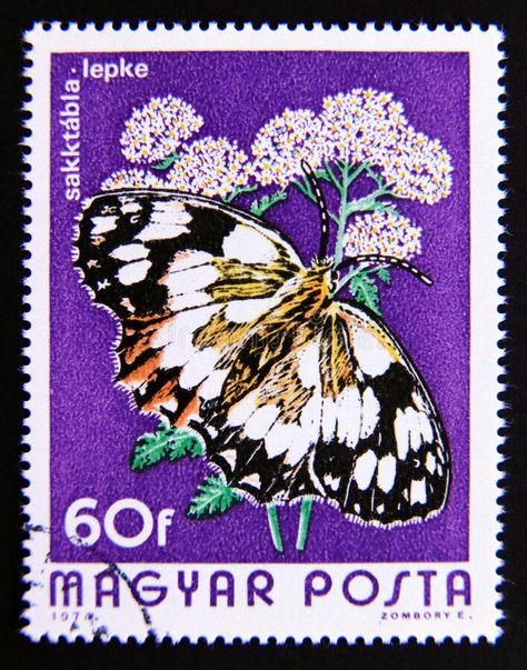 Postage stamp Hungary, Magyar, 1974. Marbled White butterfly Melanargia galathea royalty free stock photography طوابع بريد, Postage Stamp Design, Pencil Drawings Of Animals, Going Postal, Post Stamps, Butterfly Stamp, Old Stamps, Bug Art, Postage Stamp Art