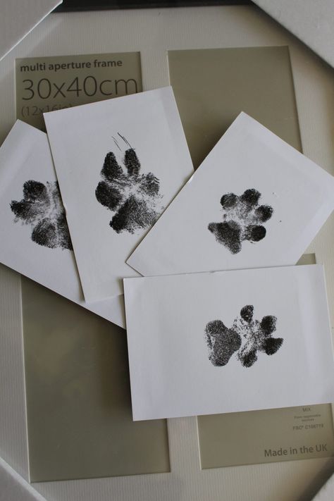 Create your own Paw Print Keepsake - Once a Duckling How To Make Dog Paw Prints, Dog Paw Print Keepsake Diy, Paw Print Keepsake Diy, Paw Print Crafts Diy, Dog Paw Print Ideas, Diy Paw Print Keepsake, Diy Paw Print Art, Dog Nose Print Diy, Diy Dog Paw Print