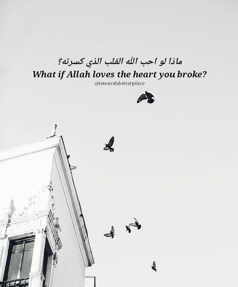 "What if Allah loves the heart you broke? You cannot know... If you knew, you would be terrified; you wouldn't dare to touch that heart!" Arabic Heart Touching Quotes, Heart Broke Quote Short, Arabic Quotes With Translation, Allah Loves You, You Broke My Heart, Best Quran Quotes, Beautiful Quran Verses, Short Islamic Quotes, Instagram Graphics