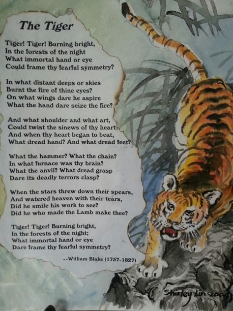 Tiger Tiger Burning Bright Poem, Tiger Poem, Tiger Meaning, Tiger Quotes, Butterfly Poems, I Am Poem, Buddhism Beliefs, Tiger Facts, Animal Poems