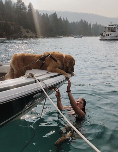 Lake Dog Aesthetic, Dog Best Friend Aesthetic, Family Dog Aesthetic, Lake Life Aesthetic, Dogs Swimming, Negative Reinforcement, Dogs On Boats, Kayaking With Dogs, Kitten Training