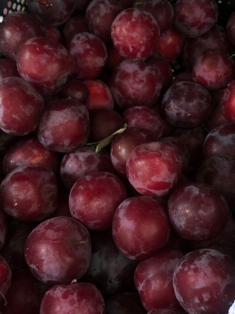 Plums aesthetic summer Professor Plum Aesthetic, Reddish Purple Aesthetic, Sugar Plum Aesthetic, Plum Purple Aesthetic, Plums Aesthetic, Plum Aesthetic, Professor Plum, Black Plums, Witchy Academia