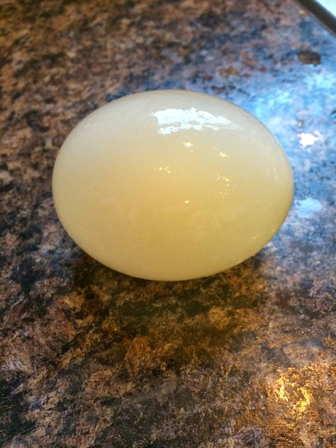 Bouncing Egg Egg In Vinegar, Bouncy Egg, Science Week, Bouncy Ball, Cool Science Experiments, Science Experiment, An Egg, Christmas Stuff, Fun Science