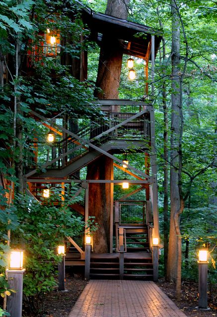 Tree Houses To Live In, Cottage Core Tree House, Dream Tree House, Forest Tree House, Tree Homes, Adult Tree House, Treehouse Design, House In The Forest, Beautiful Tree Houses