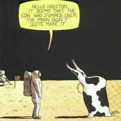 Nasa humor Cow Over The Moon, Cow Puns, Farm Humor, Funny Cartoon Pictures, Funny Cartoons Jokes, Cows Funny, The Cow, A Cow, Twisted Humor