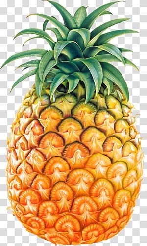 Pineapple Breakfast, Orange Juice Smoothie, Pineapple Art Print, Summer Juice, Smoothie Fruit, Cut Pineapple, Fruit Pineapple, Ripe Pineapple, Strawberry Juice