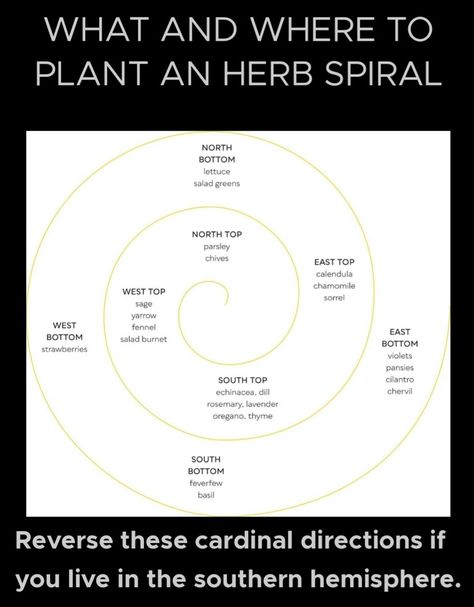 Herb Spiral Garden, Herb Spiral, Spiral Garden, Cardinal Directions, Homestead Ideas, Future Garden, Homestead Gardens, Zone 9, Garden Oasis