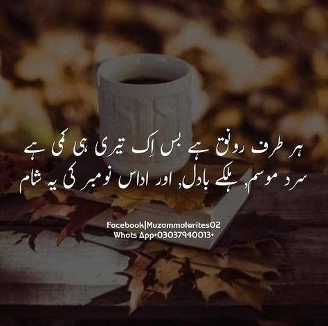 Sana Fairy Poetry, Winter Poetry, November Quotes, Personality Quotes, Weather Quotes, Urdu Love Words, Poetry Lines, Poetry Quotes In Urdu, Urdu Poetry Romantic