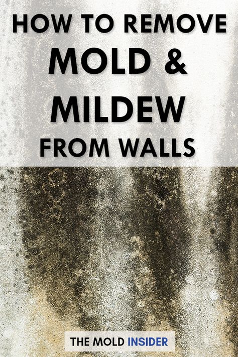 Homemade Mold Remover, How To Remove Black Mold From Walls, Best Mold And Mildew Remover, Mold Remover Bathroom Walls, How To Remove Mold From Basement Walls, How To Clean Mold Off Walls, Getting Rid Of Mold On Walls, Clean Mold Off Walls, How To Remove Mildew From Clothes