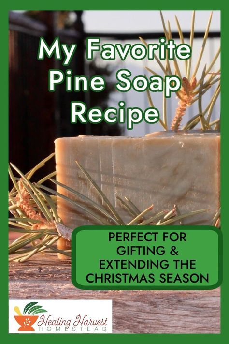 I love making homemade soap for my loved ones! Pine is everywhere this time of year and I'm not complaining one bit. This is one of my favorite Christmas soap recipes. It is refreshing, mentally clarifying, uplifting and calming! Gift it to your loved ones or keep it all for yourself. #hotprocesssoap #soaprecipe #pinescent #christmasgift #essentialoils Christmas Soap Recipes, Pine Tar Soap, Hot Process Soap, Natural Soaps Recipes, Favorite Christmas Recipes, Essential Oil Soap, Pine Essential Oil, Handmade Soap Recipes, Handmade Natural Soaps