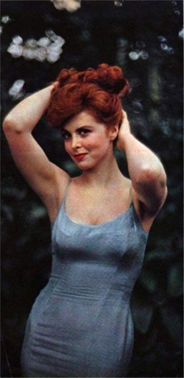 Tina Louise Ginger Grant, Tina Louise, Milla Jovovich, Glamour Shots, Curvy Women Jeans, Famous Faces, Hollywood Stars, Celebrity Pictures, Redheads