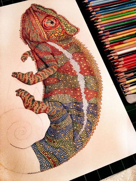 Crayon Shading, Pencil Crayon Drawing, Chameleon Drawing, Chameleon Art, Pencil Inspiration, Color Pencil Sketch, Crayon Drawings, Colored Pencil Artwork, Chameleons