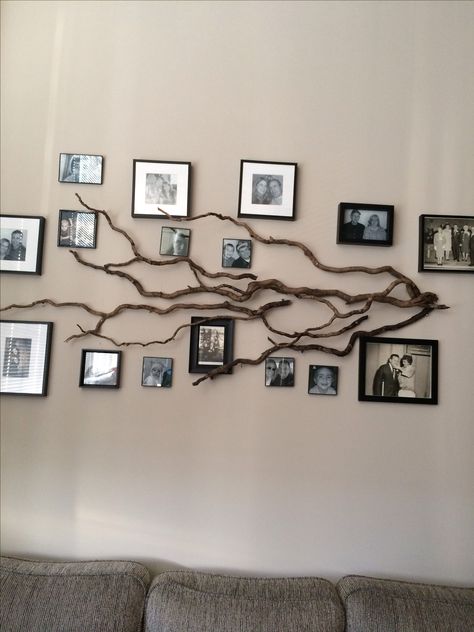 Real Tree branches hung on a wall to make this stylish Family Tree Photo display Creative Wall Photo Display, Family Tree Home Decor, Classroom Family Photo Display, Picture Tree Wall, Family Tree Decor For Walls, Photo Tree Wall, Family Tree Picture Wall, Takken Decor, Family Tree Photo