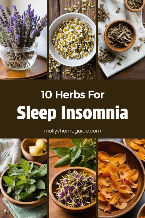 Discover the natural power of herbs for better sleep with these calming herbal remedies. Say goodbye to insomnia with the best medicinal herbs that promote relaxation and aid in achieving a restful night's sleep. Explore the soothing benefits of herbal sleep aids and find out which calming herbs for insomnia work best for you. Improve your sleep quality naturally by incorporating these herbs for sleep into your bedtime routine. Say goodnight to restless nights and hello to a peaceful slumber wit Herbal Tea Recipes For Sleep, Sleeping Herbs, Sleep Recipes, Sleep Remedies Insomnia, Medicinal Herbs Remedies, Calming Herbs, Herbal Medicine Cabinet, Herbs For Sleep, Herb Tinctures