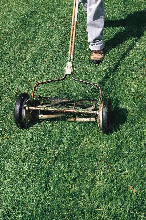 Vintage Lawn Mowers, Mowing Lawn Aesthetic, Lawnmower Aesthetic, Lawn Mower Drawing, Lawn Mower Aesthetic, Lawn Mower Vector, Lawn Mowing Flyer, Vintage Photography Inspiration, Monster Room