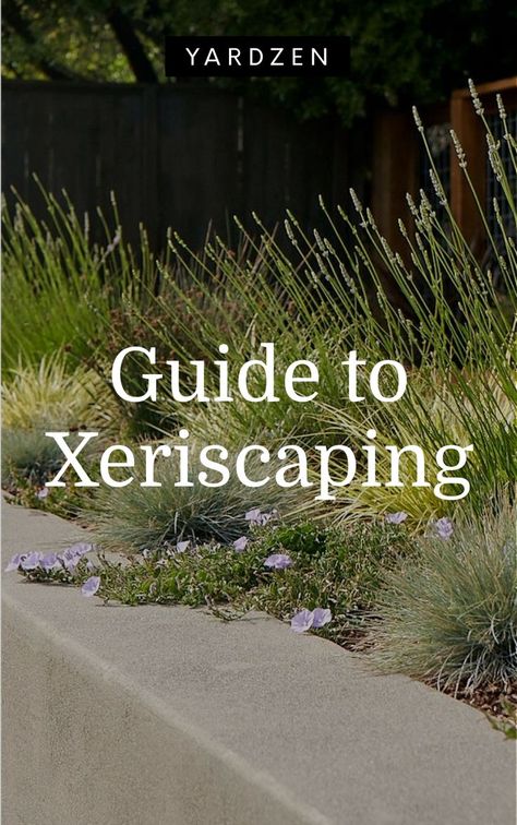 In drought-filled regions, xeriscaping has taken off, commonly misnomered as “Zero-Scaping” for its emphasis on water conservation. Xeriscape Parking Strip, Zero Water Landscape, Front Yard Zero Scape Ideas, Zero Landscaping Ideas Front Yard, Zero Scape Front Yard, Diy Xeriscape Front Yard, Zero Scaping Ideas, No Water Landscaping, Drought Resistant Landscaping Front Yard