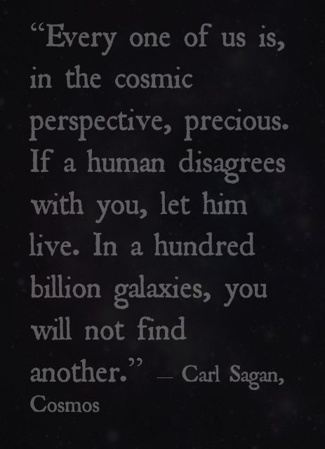 “Every one of us is, in the cosmic perspective, precious. If a human disagrees with you, let him live. In a hundred billion galaxies, you will not find another.” ― Carl Sagan, Cosmos Cosmic Perspective, Cosmos Quotes, Carl Sagan Cosmos, Alan Watts Quotes, Science Quotes, Human Dignity, Spirit Science, Quantum Mechanics, Carl Sagan