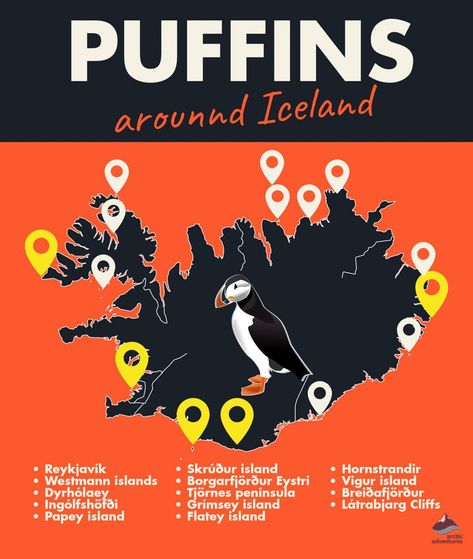 Iceland Cruise, Iceland Puffins, Iceland Travel Summer, Icelandic Cuisine, Iceland With Kids, Roadtrip Europa, British Isles Cruise, Iceland Summer, Iceland Map