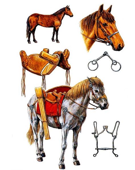 "Roman auxiliary cavalryman - Cavalry mount and equipment", Adam Hook Roman Auxiliary, Rome History, Osprey Publishing, Punic Wars, Roman Britain, Roman Legion, Rome Antique, Empire Romain, Ancient Warfare