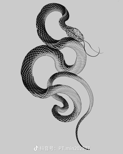 Viper Head Tattoo, Cobra Back Tattoo Women, Snake About To Strike, Snake Tattoo Ribcage, Snake Engraving, Snake Head Illustration, Snake Poses Reference, Snake Scales Tattoo, Snake Head Drawing