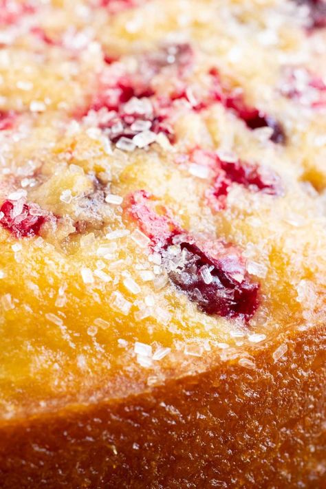 Cranberry Orange Loaf Cake Joy The Baker, Cranberry And Orange Loaf Cake, Cranberry Buttermilk Breakfast Cake, Cranberry Olive Oil Cake, Cranberry Orange Crumb Cake, Panera Cranberry Orange Bread, Orange Cranberry Loaf Cake, Cranberry Orange Coffee Cake Recipes, Cranberry Orange Sweet Rolls