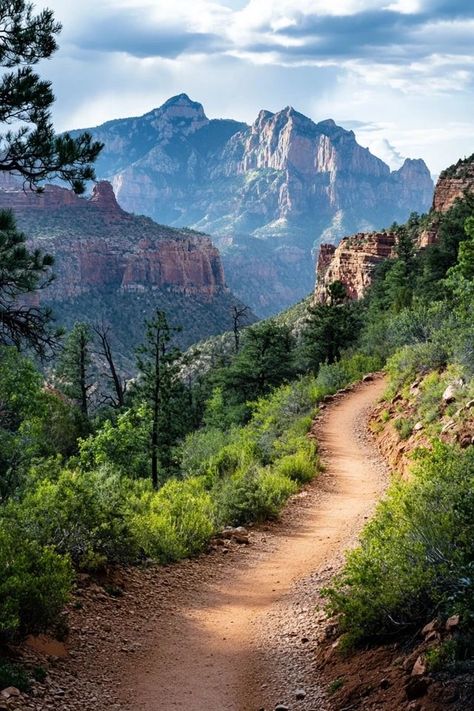 "Discover breathtaking hiking trails around the world! 🥾🏔️ Perfect for nature lovers and thrill-seekers. #HikingEnthusiasts #ScenicTrails #AdventureGuide" Hiking Trails Aesthetic, Hiking Astethic Pictures, Hiking Trail Aesthetic, Twitter Ideas, Hiking Colorado, 75 Hard, Road Trip Places, Nature Trails, Small Town Life