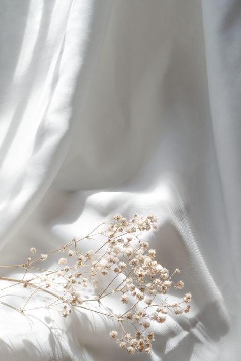 gypsophila-flowers-with-simple-style-on-white-silk-background Bright White Aesthetic, White Flowers Aesthetic, Content Pictures, Flower Gypsophila, Minimalistic Background, Flowers Minimalist, Gypsophila Flower, Minimalist Background, Wedding Card Frames