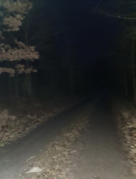 Path, dark, night, sweden, november, forest. Bones In The Forest, Bones In Forest, Forest Night Aesthetic, Lost In Forest, Creepypasta Aesthetic, Illusion Aesthetic, Woods At Night, Forest Horror, Creepy Forest