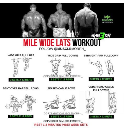 Lats Workout, Lat Exercises, Big Back Workout, Lat Workout, Reps And Sets, Step Workout, Fitness Exercises, Muscle Building Workouts, Gym Routine