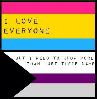 I love everyone, but I need to know more than just their name. Panromantic Demisexual Panromantic Demisexual, Attracted To Someone, Asexual Pride, Mean To Be, Pansexual Pride, Gay Memes, What The Hell, Love Everyone, I Need To Know