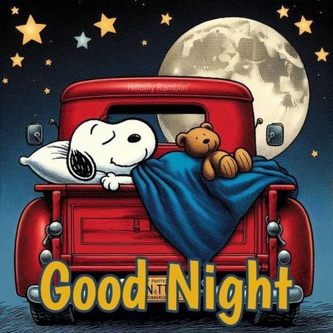 Get Well Snoopy, Snoopy And Friends Peanuts Gang, Snoopy Evening, Snoopy Good Night, Good Night Snoopy, Goodnight Baby, Goodnight Snoopy, Goodnight Images, Charlie Brown Quotes