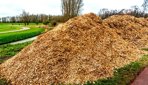 wood chips farm garden Wood Chips Landscaping Ideas, Wood Chips Landscaping, Wood Chips Garden, Chicken Pen, Mushroom Cultivation, Garden Walkway, Tree Removal, Farm Garden, Wood Chips