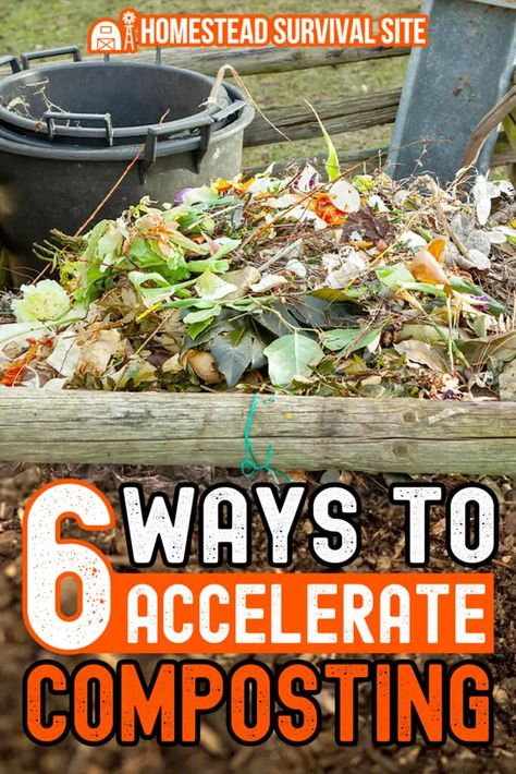 Simple Composting, Composting Tips, How To Start Composting, Composting 101, Composting Methods, Food Growing, Compost Bin Diy, Composting Process, How To Make Compost