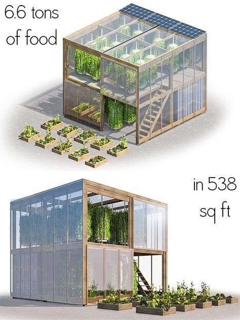 Vertical Farming, Urban Farm, Plants Growing, Seni Dan Kraf, Aquaponics System, Earthship, Hydroponic Gardening, Urban Farming, Farm Gardens