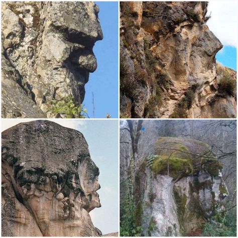 Mud Fossil University, Mudfossils Giants, Mud Fossils Giants, Petrified Giants, Nephilim Giants, Giant People, Turn To Stone, Giant Tree, Ancient Technology