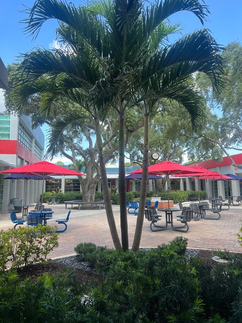 Florida Atlantic University Aesthetic, Florida Atlantic University, Colleges In Florida, College Vision Board, Freshman College, College Aesthetic, Dream College, Dream School, College Dorm