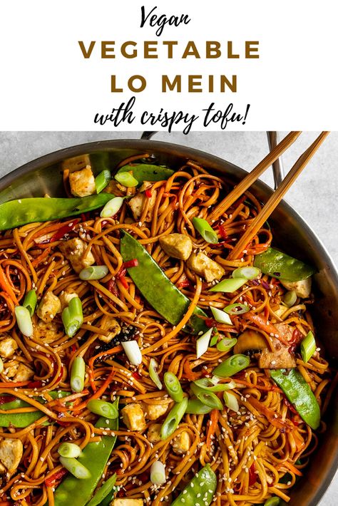 Vegan Noodle Sauce, Tofu Chow Mein, Tofu Lo Mein, Vegan Lo Mein Recipe, Vegan Chow Mein Recipe, Vegan Rice Noodle Dishes, Plant Based Chinese Recipes, Vegan Noodle Dishes, Vegan Rice Noodles