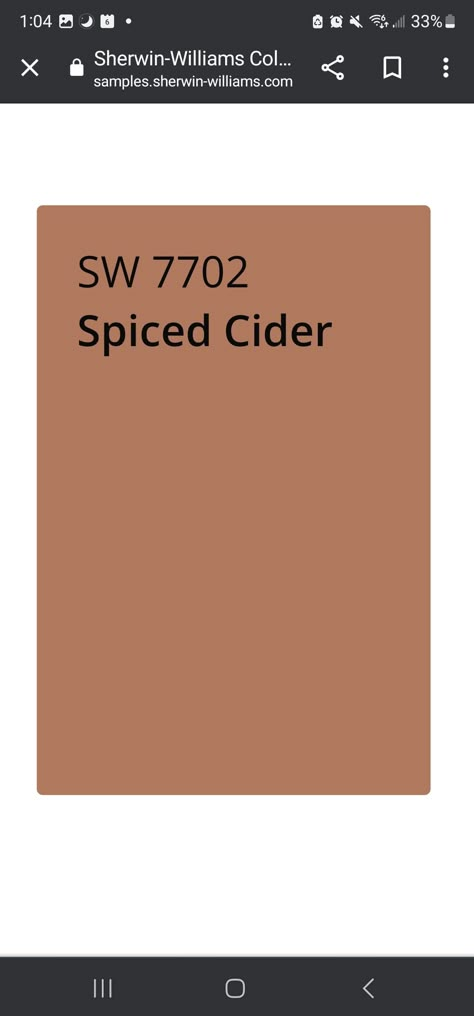 Rustic Orange Paint Color, Terracotta Paint Color Bathroom, Spiced Cider Paint Color, Sherwin Williams Moroccan Spice, Light Burnt Orange Paint, Earthy Orange Paint Colors, Sw Spiced Cider Paint, Earthy Front Door Colors, Orange Brown Paint Colors