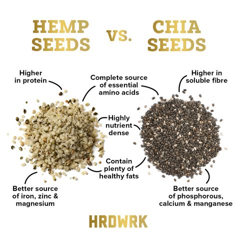 What Is Hemp Seeds, Hemp And Chia Seed Recipes, Health Benefits Of Hemp Seeds, Benefits Of Hemp Seeds, Chia Flax And Hemp Seed Recipes, Hemp Seeds Recipes, Chia Seeds Benefits Side Effects, Hemp Seeds Benefits, Cumin Benefits