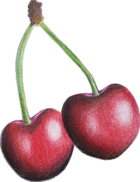 Cherry drawing Cherry Drawing, Colored Pencil Drawings, Color Pencil Drawing, Colored Pencil, Pencil Drawings, Colored Pencils, Cute Pictures, Art Nouveau, Cherry